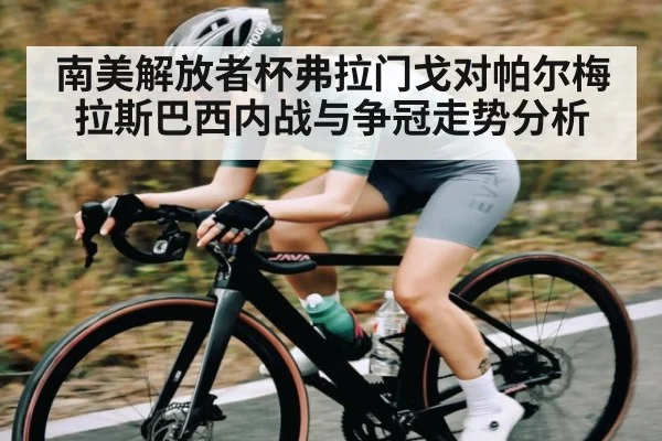 南美解放者杯弗拉门戈对帕尔梅拉斯巴西内战与争冠走势分析